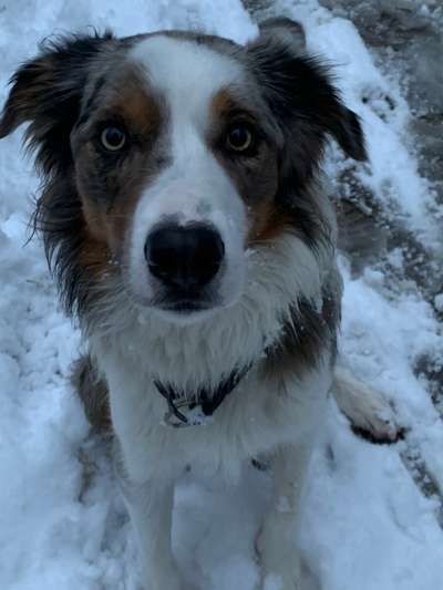 Fotochallenge 61 ~ Schnee-Beitrag-Bild