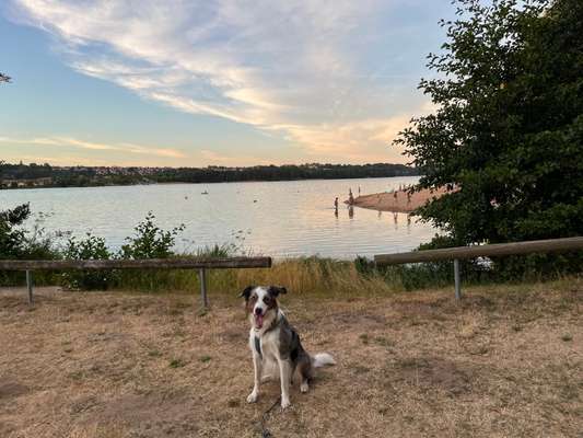 Fotochallenge Nr.100 Urlaubsimpressionen-Beitrag-Bild