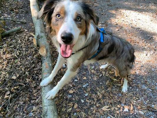 Vorher.... Nachher-Beitrag-Bild