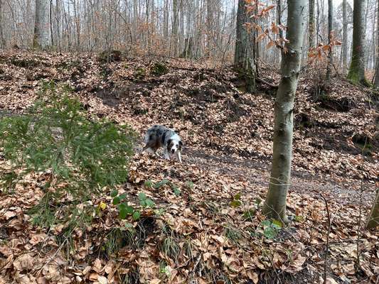 "MACH ES !"  statt  "LASS ES !"-Beitrag-Bild