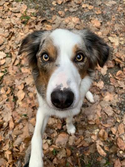 Fotochallenge No. 26                                     Wald und Wiese-Beitrag-Bild