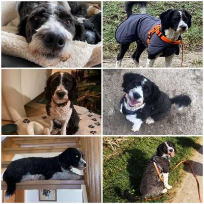 23. Collagen-Challenge: Portraits-Beitrag-Bild