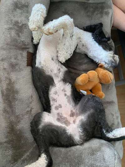 Foto Challenge - Zeigt her eure Bäuche-Beitrag-Bild