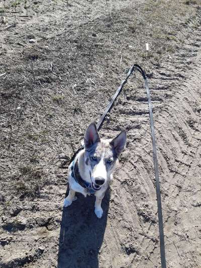 Von oben-Beitrag-Bild