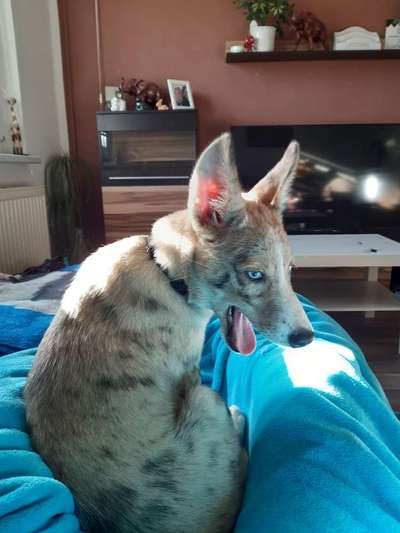 Erstes Bild-Beitrag-Bild