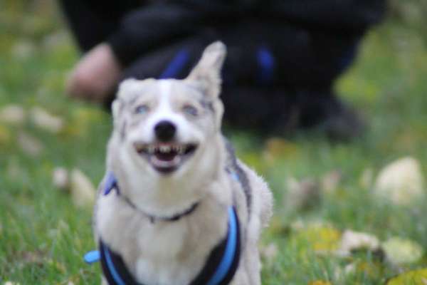 Un...scharf Bilder-Beitrag-Bild