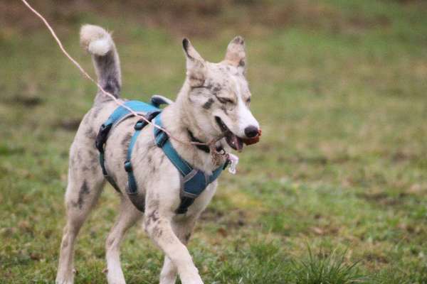 Fotochallenge Nr. 67: Euer Lieblingsbild-Beitrag-Bild