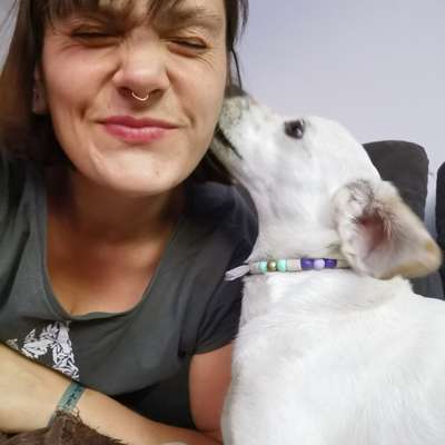 Hundetreffen-Neue Gassirunden und Hundekontakte