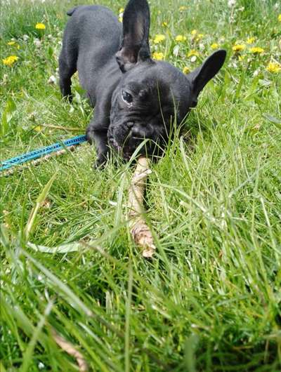 Foto Challenge 3-Beitrag-Bild