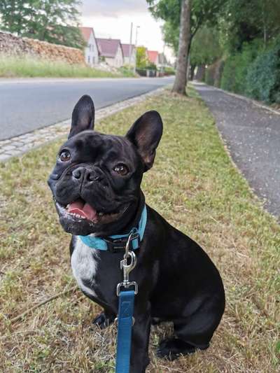 Challenge Nr. 10: "Das schönste Lächeln"-Beitrag-Bild