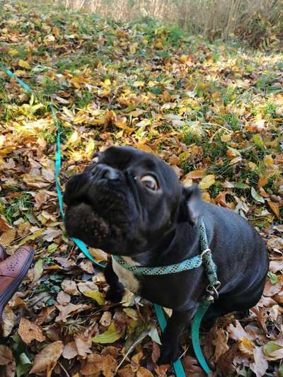 Fotochallange Nr. 6 Die irrsten Blicke-Beitrag-Bild