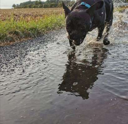 Foto Challenge - BEENDET - bitte aktuelle Challenge nutzen-Beitrag-Bild