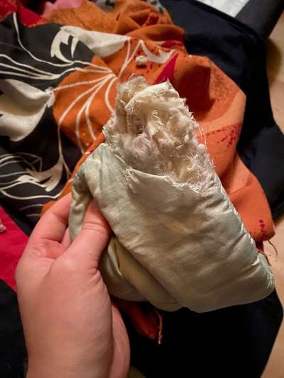 TierschutzhundeStammtisch🐕-Beitrag-Bild