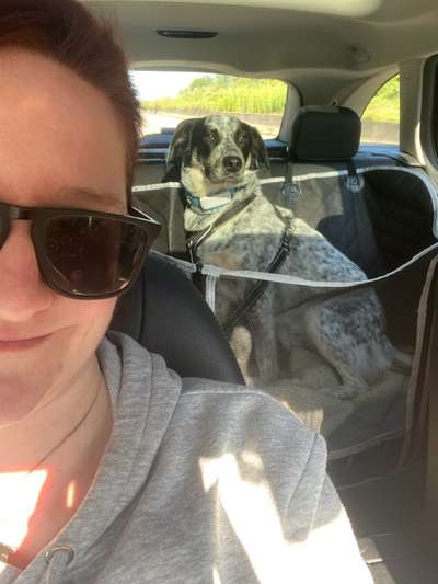 TierschutzhundeStammtisch🐕-Beitrag-Bild