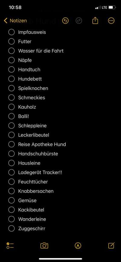 TierschutzhundeStammtisch🐕-Beitrag-Bild