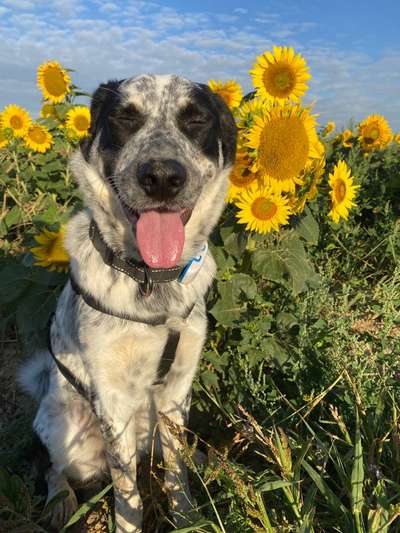 Handyfoto challenge Nr. 13: Waschlappen raus!-Beitrag-Bild