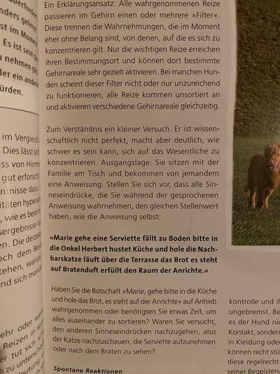 TierschutzhundeStammtisch🐕-Beitrag-Bild