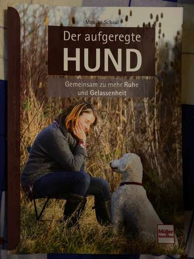 TierschutzhundeStammtisch🐕-Beitrag-Bild