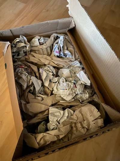 TierschutzhundeStammtisch🐕-Beitrag-Bild