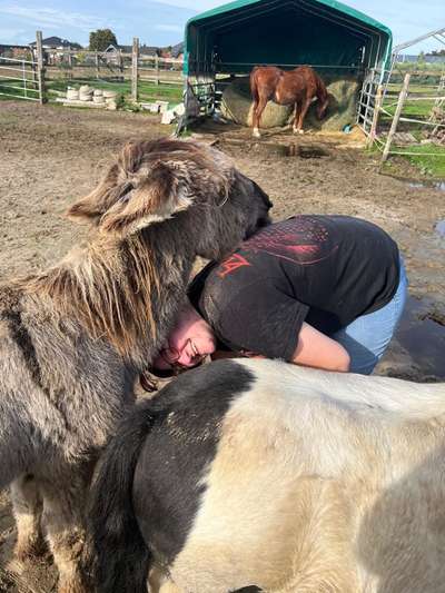 TierschutzhundeStammtisch🐕-Beitrag-Bild