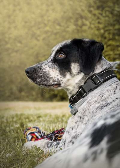 Zeigt eure Portraits-Beitrag-Bild