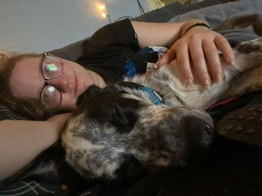 TierschutzhundeStammtisch🐕-Beitrag-Bild