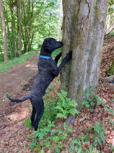 Theos Fotochallenge Nr. 3-Beitrag-Bild