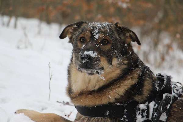 Challenge Nr. 15
Spiel im Schnee-Beitrag-Bild