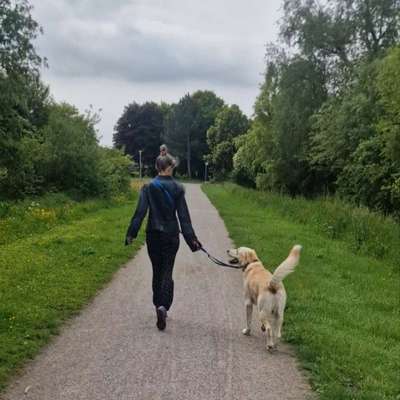 Soultree & 🌳🪶🦋 &'s Profilbild