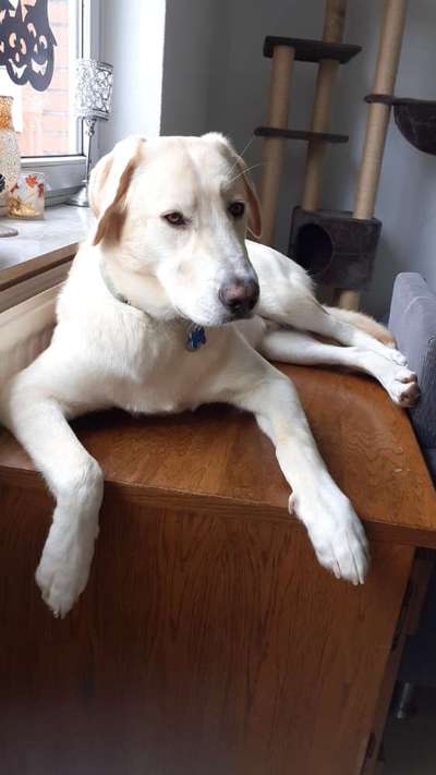 Das leidige Thema Anspringen !-Beitrag-Bild