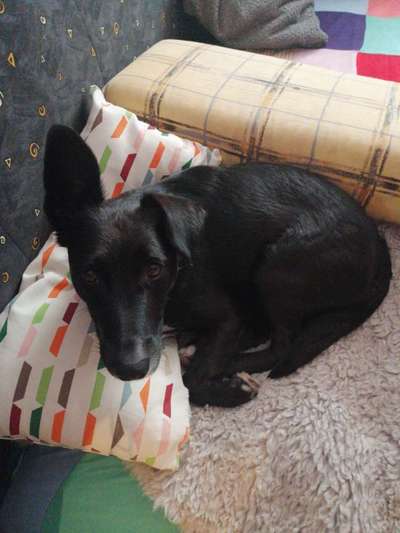 Gemeinsames Kuscheln im Bett!-Beitrag-Bild