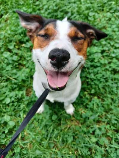 Handyfoto challenge Nr. 13: Waschlappen raus!-Beitrag-Bild