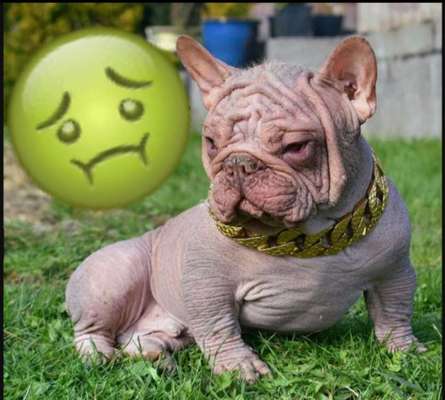 Was hat euch heute genervt?-Beitrag-Bild