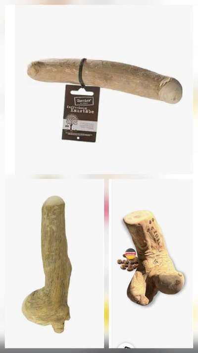 Hundespielsachen oder Sextoy-Beitrag-Bild