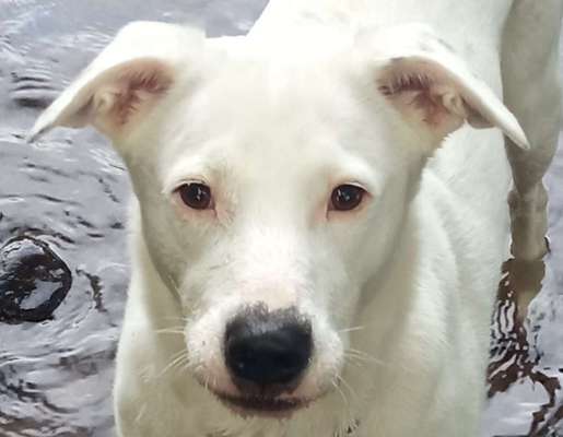 150. Foto Challaenge:  Die Augen, der Spiegel der Seele-Beitrag-Bild