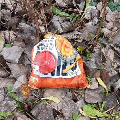 Die besten Gassifunde-Beitrag-Bild