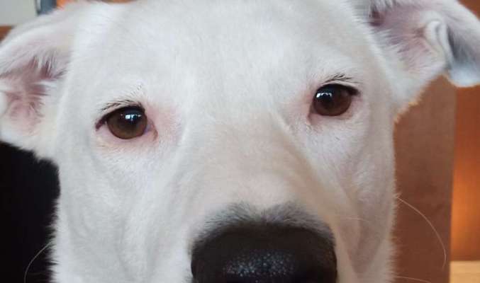 Was hat euch heute gefreut?-Beitrag-Bild