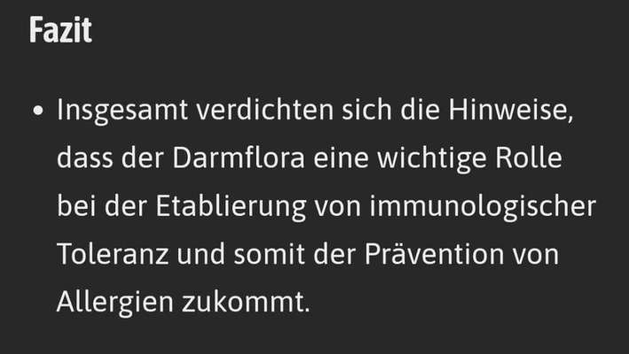 Allergiehilfe für Hunde-Beitrag-Bild