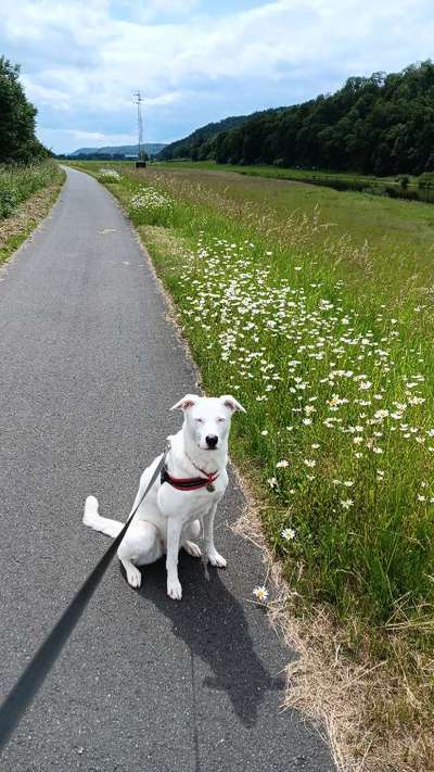 Was hat euch heute gefreut?-Beitrag-Bild