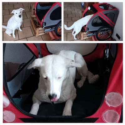 Was hat euch heute gefreut?-Beitrag-Bild