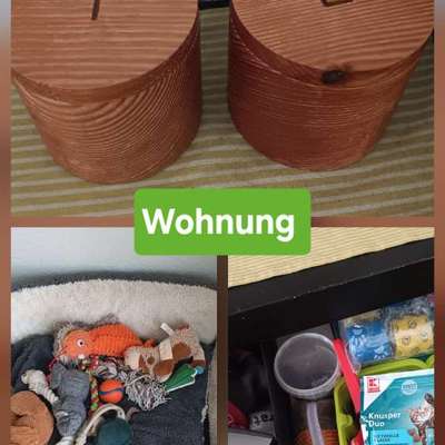 Zeigt her eure Gassi-Stationen =)-Beitrag-Bild