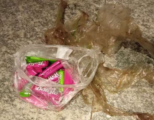 Challenge – Gassi & Clean-Beitrag-Bild