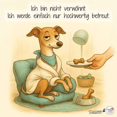 Hunde Memes-Beitrag-Bild