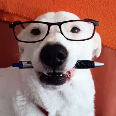 Was hat euch heute gefreut?-Beitrag-Bild