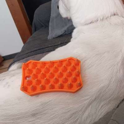 Bürste für Unterfell-Beitrag-Bild