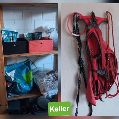 Zeigt her eure Gassi-Stationen =)-Beitrag-Bild