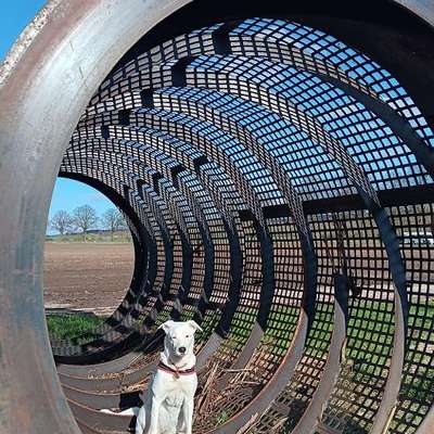 Die besten Gassifunde-Beitrag-Bild