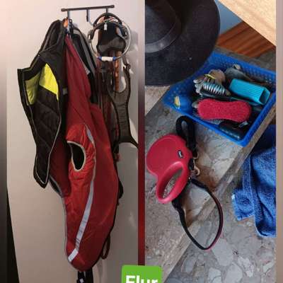 Zeigt her eure Gassi-Stationen =)-Beitrag-Bild