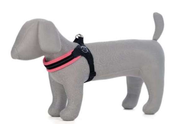 Erfahrungen mit Step-in-Geschirr-Beitrag-Bild