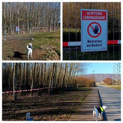 Was hat euch heute genervt?-Beitrag-Bild